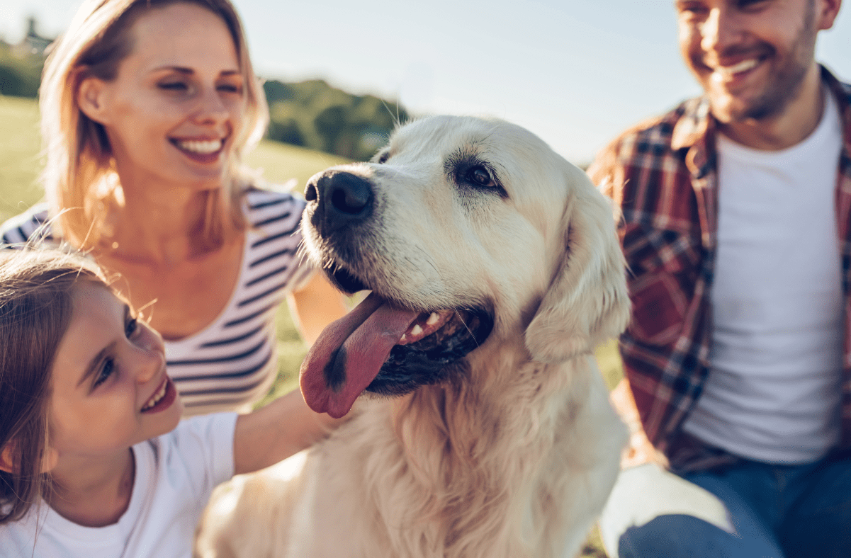 Young family with happy dog