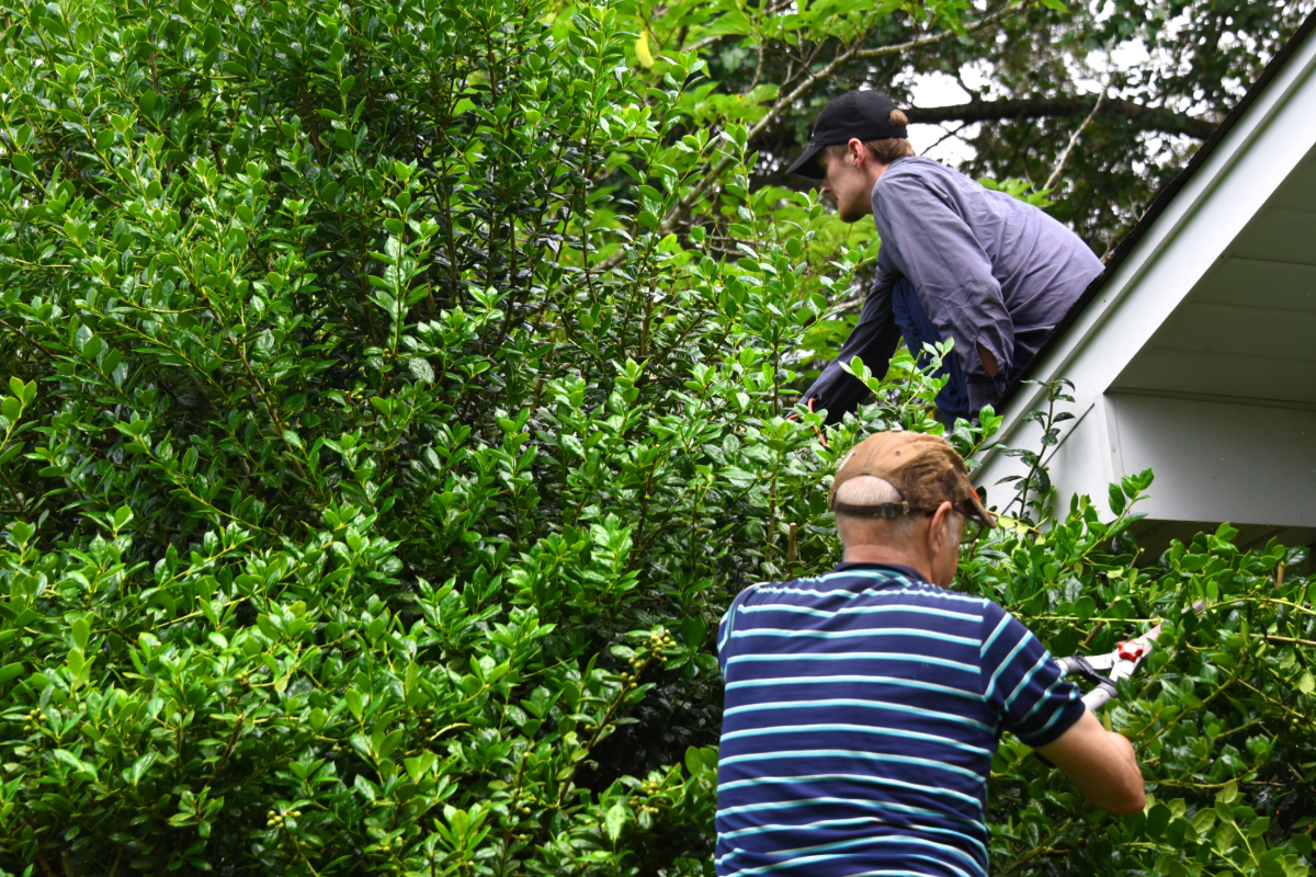 Two men trim trees around a house